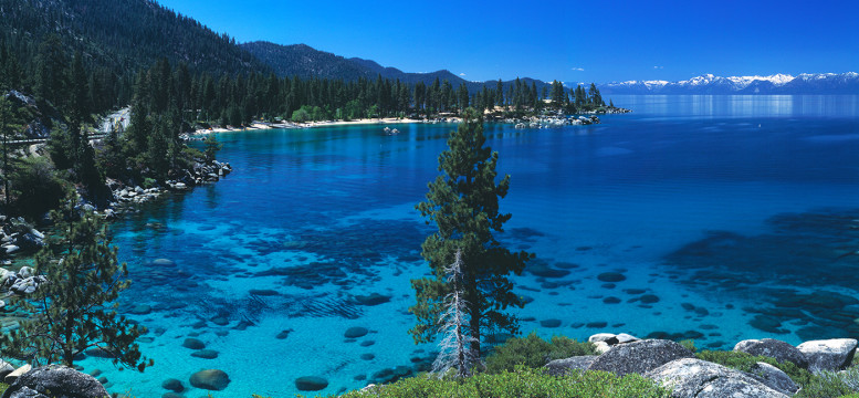 Quinissential Tahoe